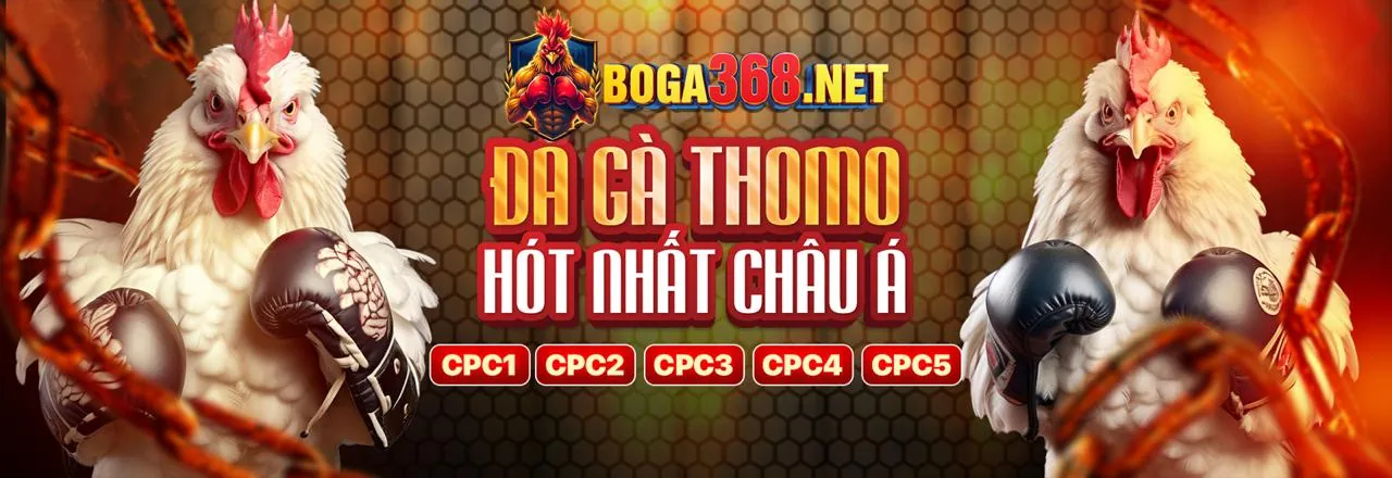 Người chơi Blackjack tại xibet win