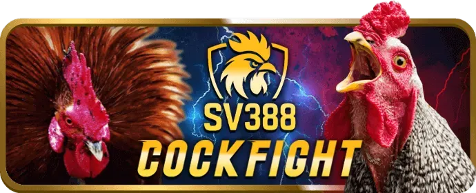 Chương trình VIP độc quyền Xibet Win